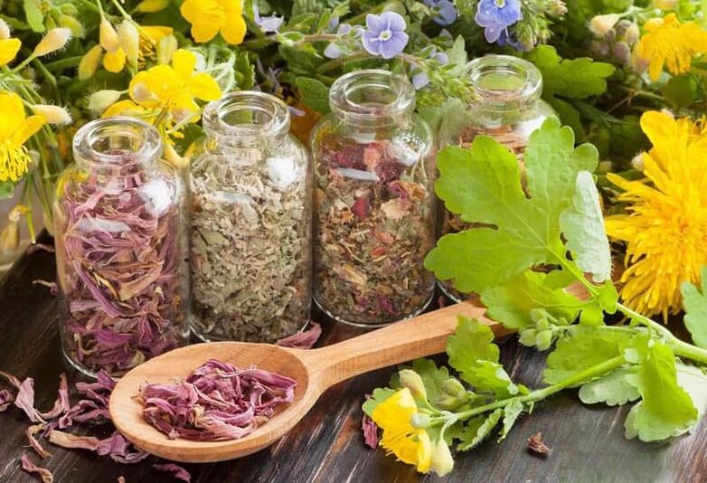 Antiparasitic decoction