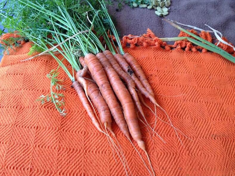 Carrots against parasites