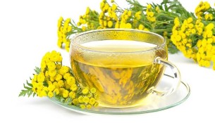 infusion of tansy